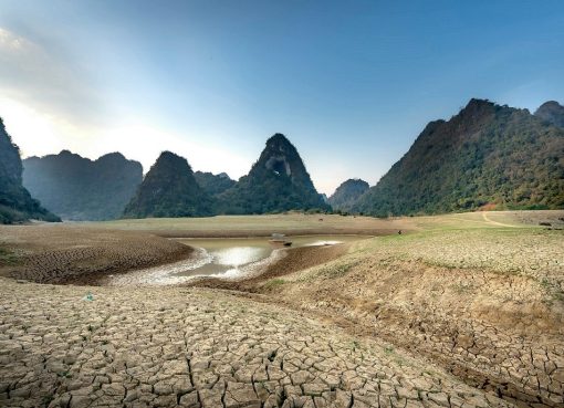 Arthur D. Little Spotlights Scalable Technologies to Combat Land Degradation in the World’s Harshest Climates