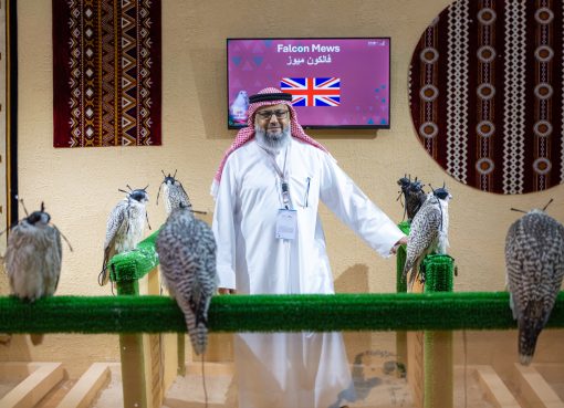 المزرعة الإنجليزية “فالكون ميوز” تُشارك بـ 100 صقر في المزاد الدولي لمزارع إنتاج الصقور 2025